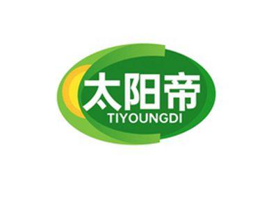 太阳帝TIYOUNGDI