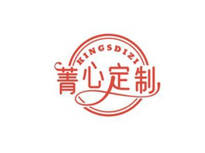 菁心定制KINGSDIZI