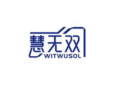 慧无双WITWUSOL