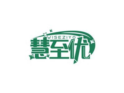 慧至优WISEZIYO