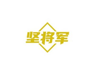 坚将军