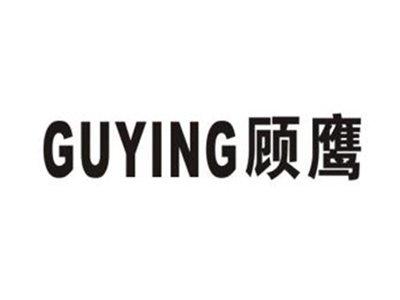 顾鹰