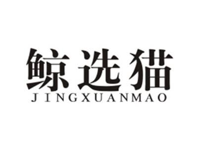 鲸选猫