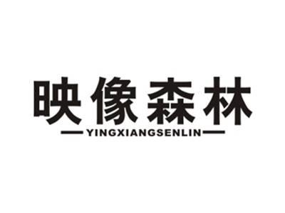 映像森林