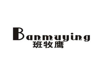 班牧鹰