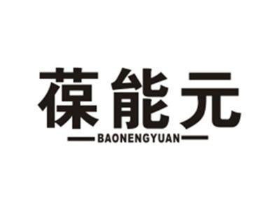 葆能元