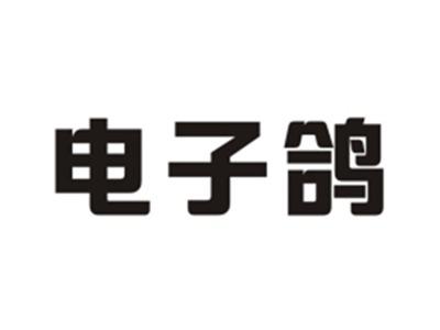 电子鸽
