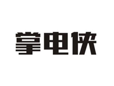 掌电侠