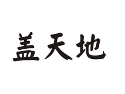 盖天地
