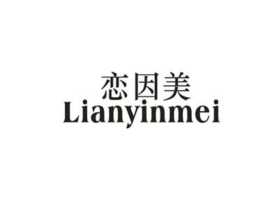 恋因美