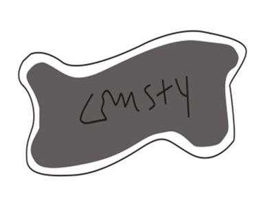 LSMSTY