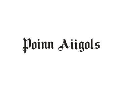 PoinnAiigols
