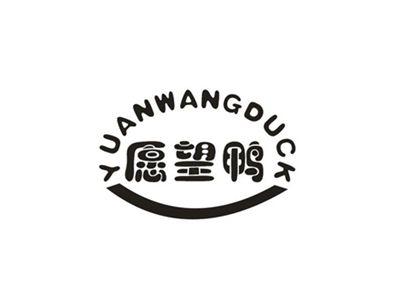 愿望鸭