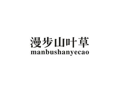 漫步山叶草