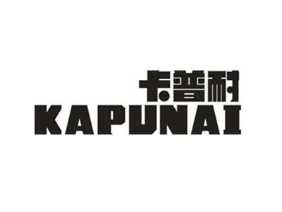 卡普耐