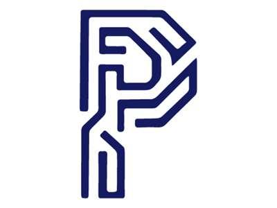 字母P