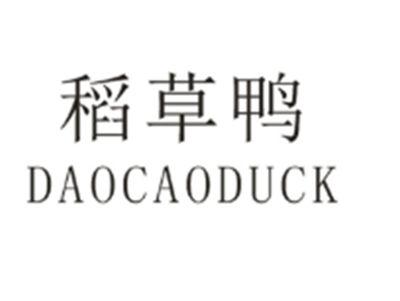 稻草鸭DAOCAODUCK