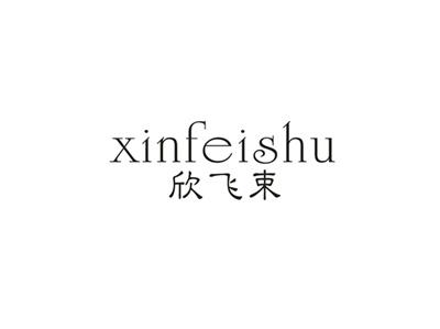 欣飞束