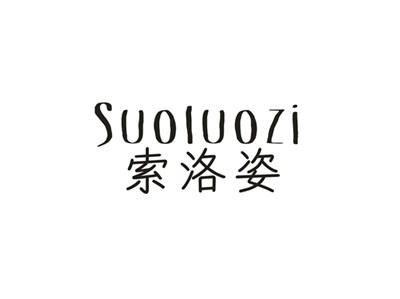 索洛姿