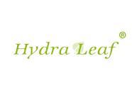HydraLeaf水润之叶