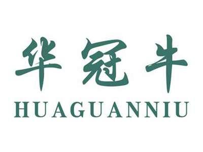 华冠牛