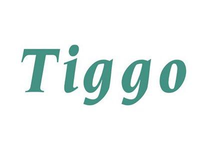 tiggo