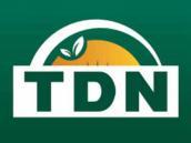 TDN