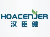 汉臣健