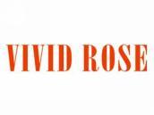 VIVIDROSE