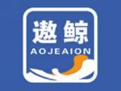遨鲸