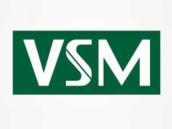 VSM