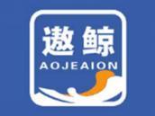 遨鲸