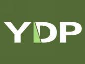 YDP