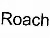 ROACH