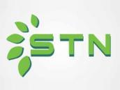 STN