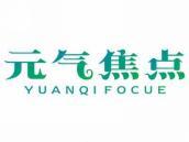 元气焦点