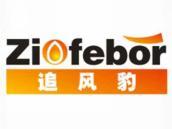 追风豹