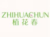 植花春