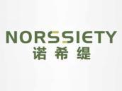 诺希缇
