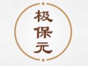 极保元