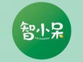 智小呆