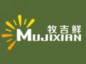 牧吉鲜