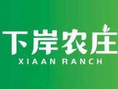 下岸农庄