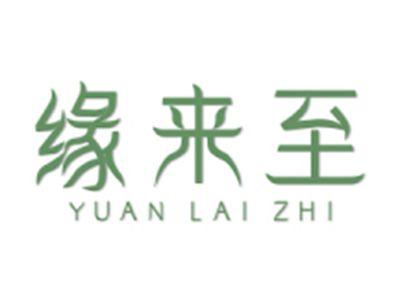 缘来至