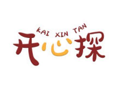 开心探