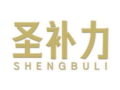 圣补力