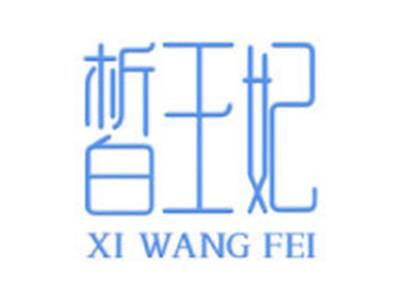 皙王妃