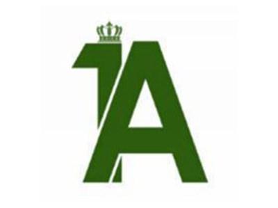 A1图形