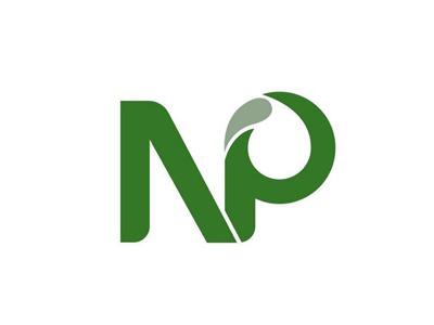 NP图形