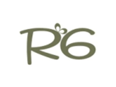 R6